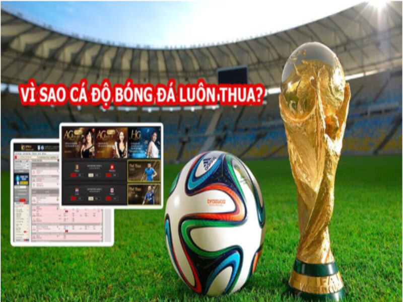 Choi khong biet diem dung 1 - tại sao cá độ bóng đá luôn thua