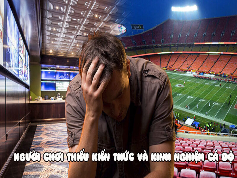 Khong co nhieu kinh nghiem kien thuc ca cuoc 4 - tại sao cá độ bóng đá luôn thua