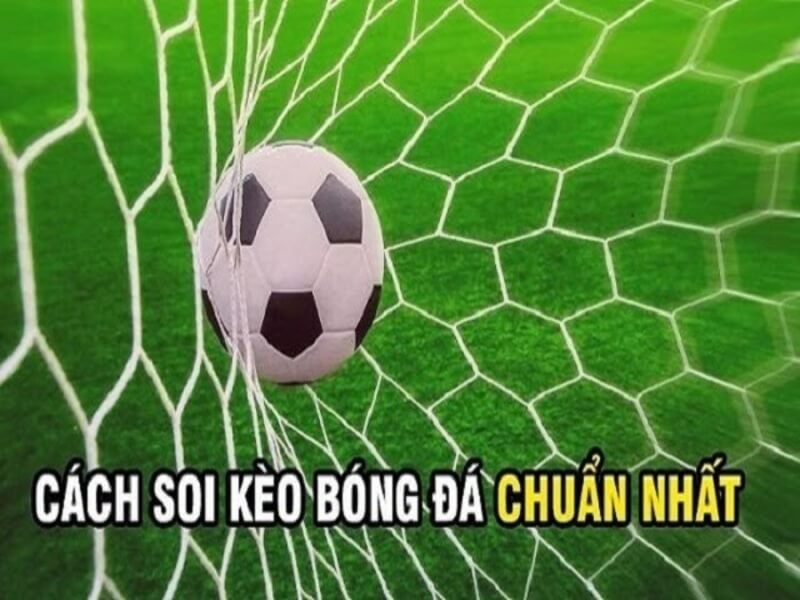 Kih nghiem soi keo AOS cho nguoi moi choi ca cuoc 5 - aos trong cá độ bóng đá là gì