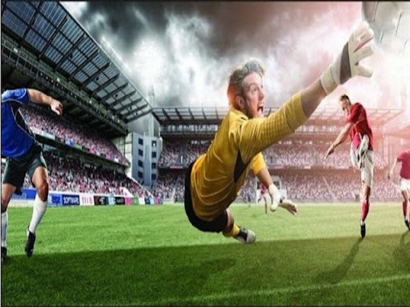 Mot so me khong the bo qua khi choi ca cuoc bong da 7 - nhà cái tiếng anh là gì