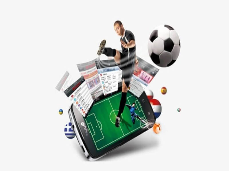 Phan loai nha cai bong da de hieu ro hon 3 - nhà cái tiếng anh là gì