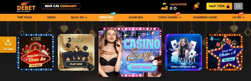 Các câu hỏi về Debet