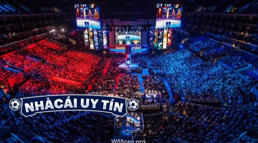 Khám Phá Các Sản Phẩm Cá Cược Tại Nhà Cái Uy Tín