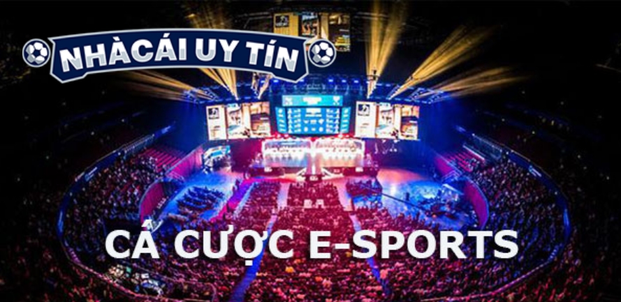 Nhà cái uy tín không chỉ tập trung vào cá cược thể thao